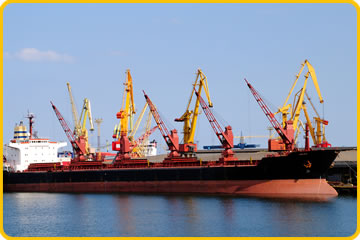 Exportación